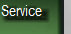 vigilant_private_security_20120830005004.jpg