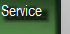 vigilant_private_security_20120830006006.jpg