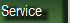 vigilant_private_security_20120830010006.jpg